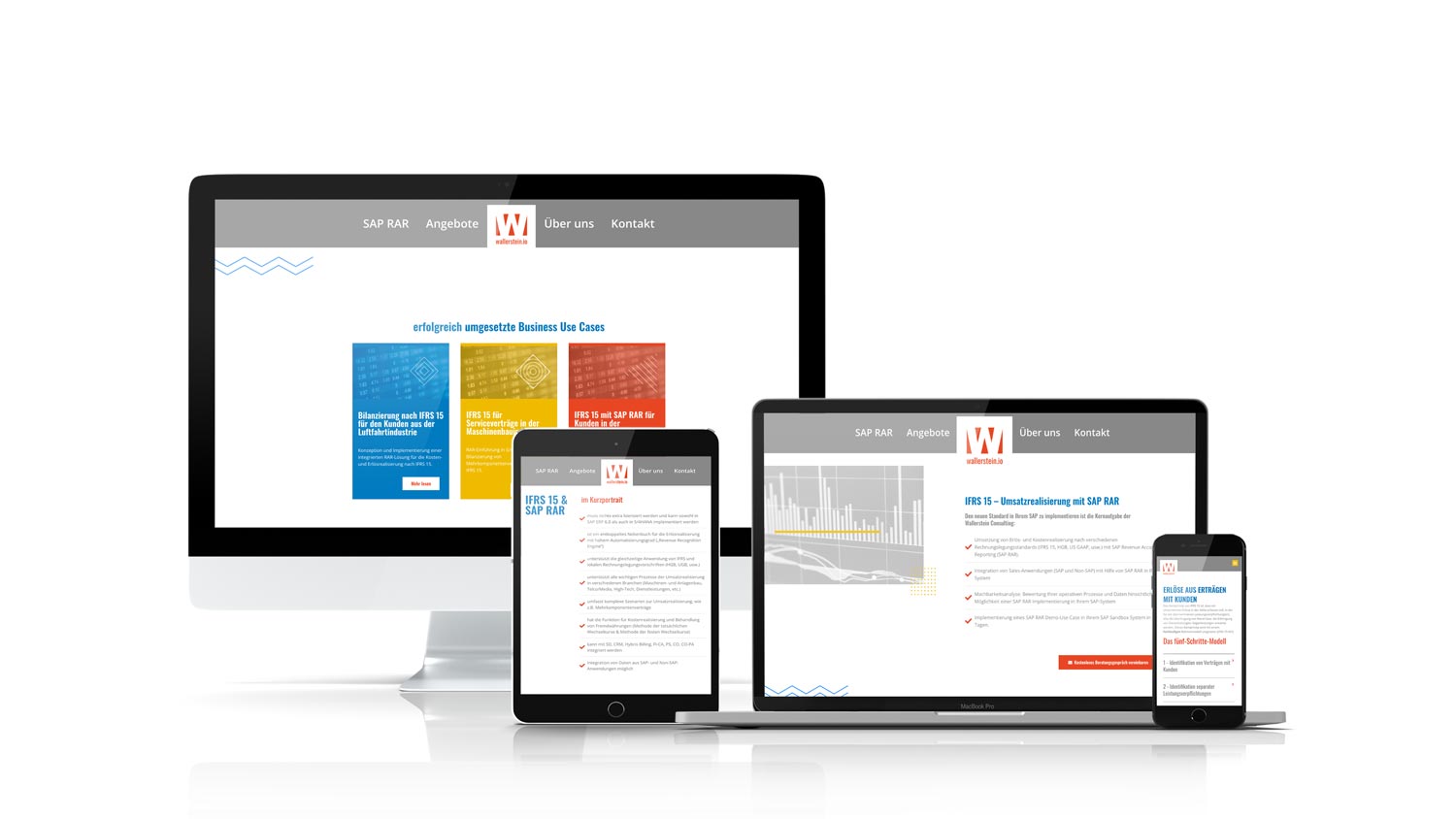 Homepage Wallerstein Consulting GmbH